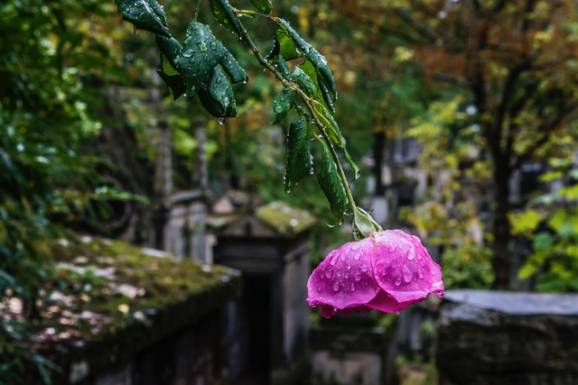 Finding Jim Morrison’s Grave