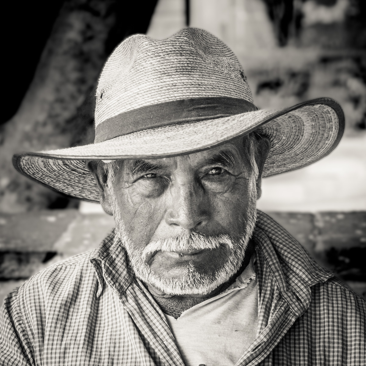 Use of color vs black and white